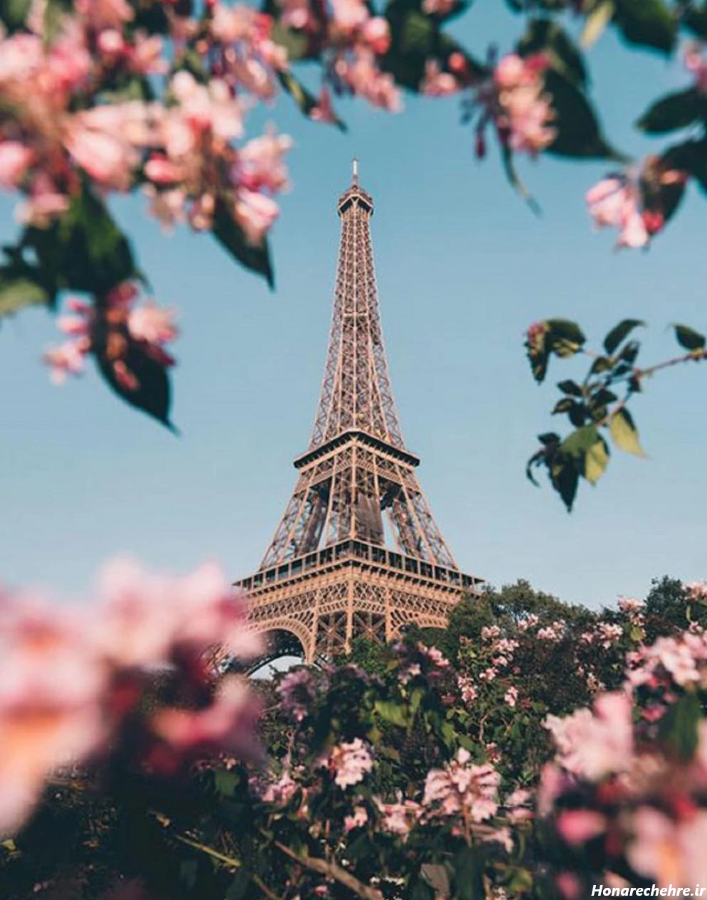 تصویر زمینه دخترانه شیک و باکلاس