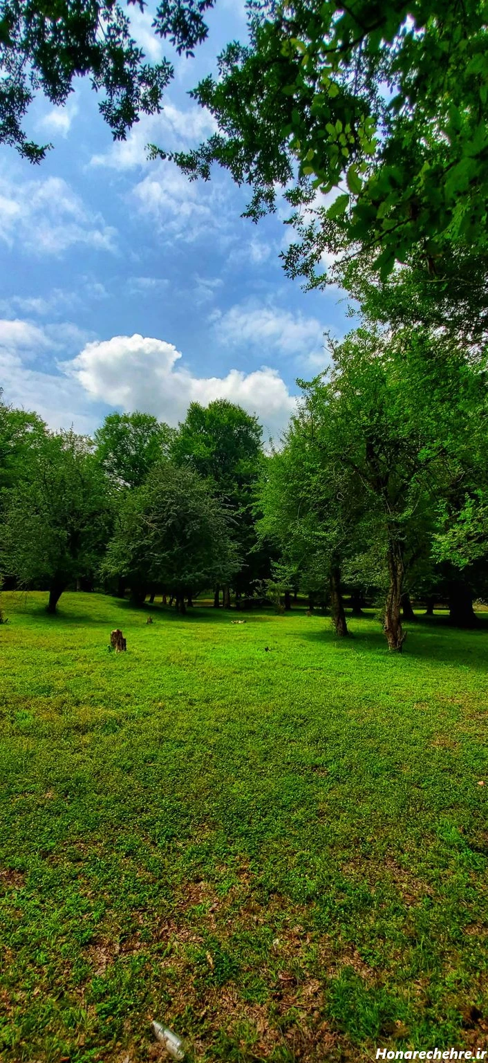 نقشه جنگل دالخانی رامسر