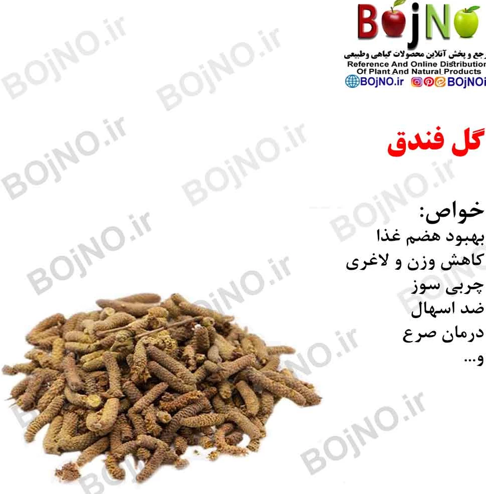 29 عکس از گل فندق زیبایی طبیعت را به خانه تان بیاورید