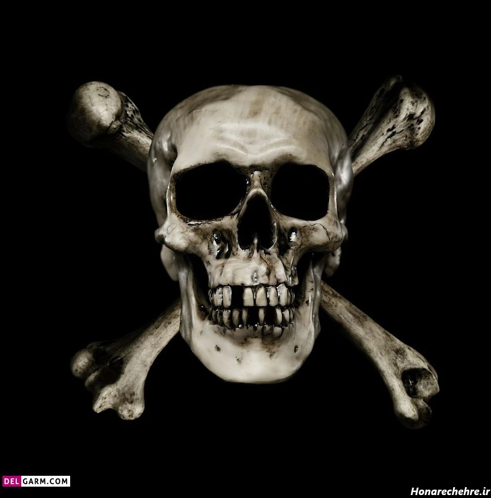 عکس اسکلت واقعی انسان