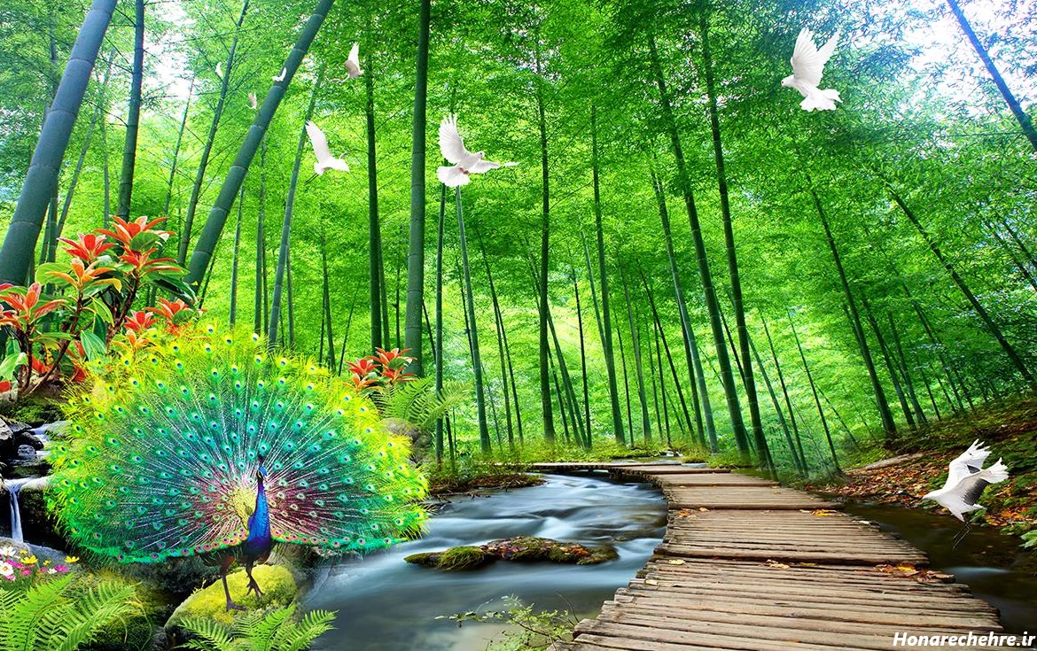 نقشه جنگل دالخانی رامسر