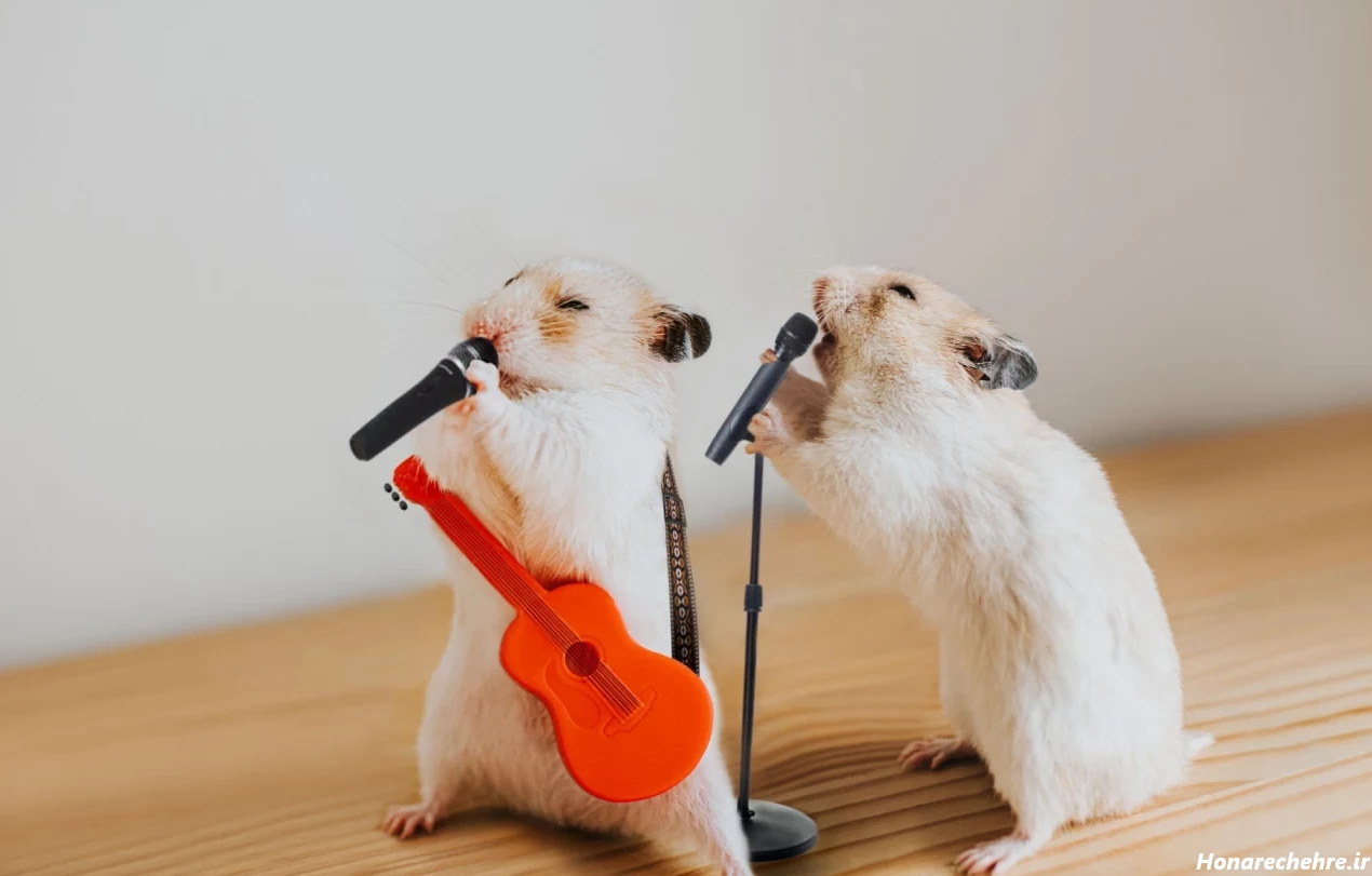 عکس حیوانات کیوت فانتزی