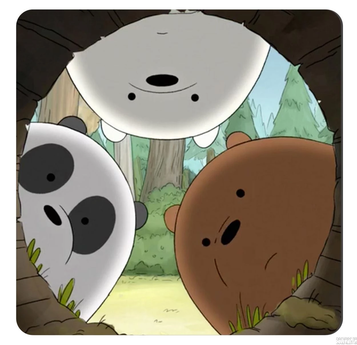 عکس سه کله پوک برای پروفایل