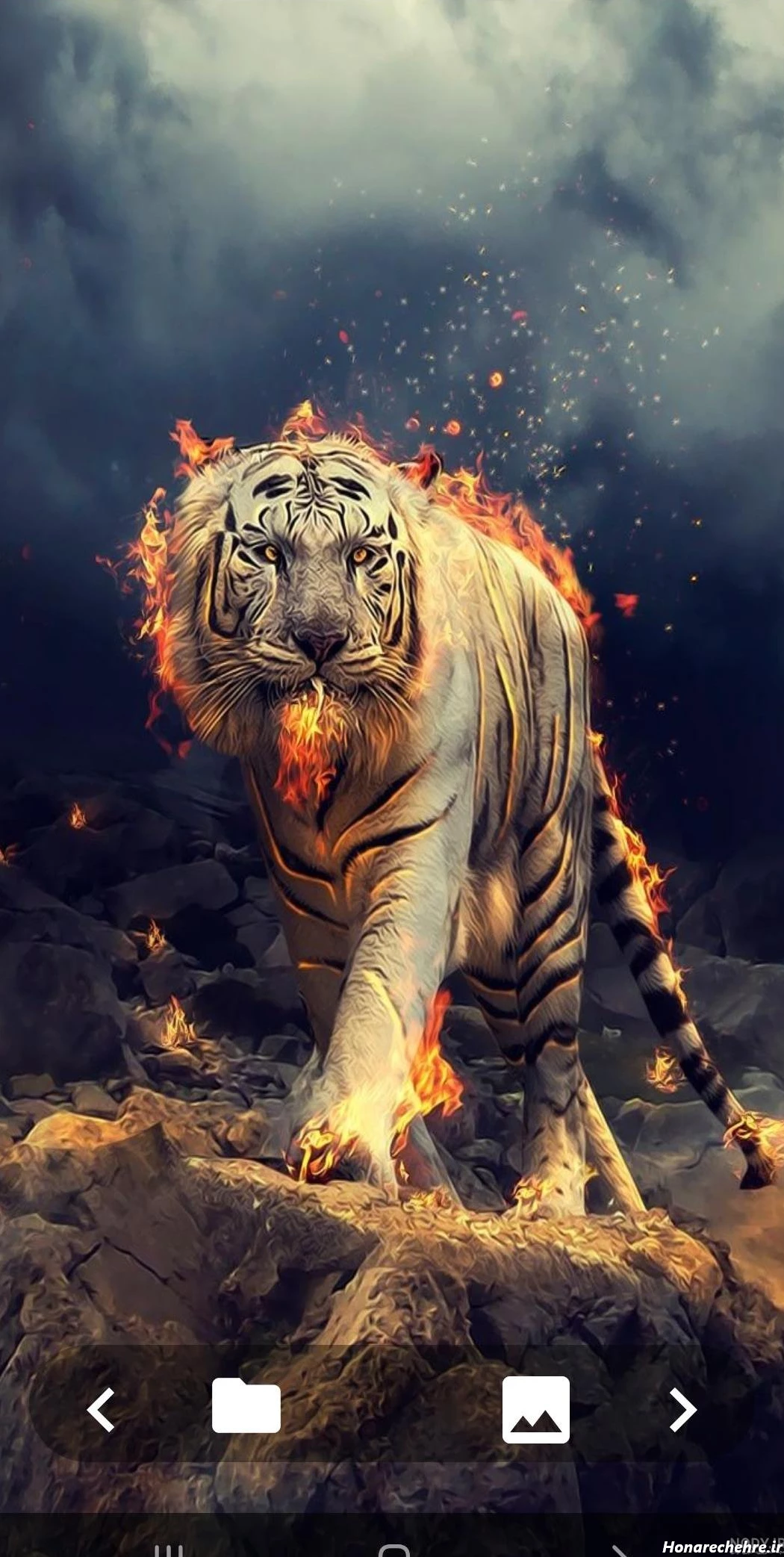 عکس حیوانات وحشی با کیفیت بالا