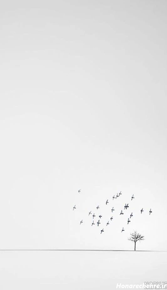 عکس سفید طرح دار برای نوشتن متن