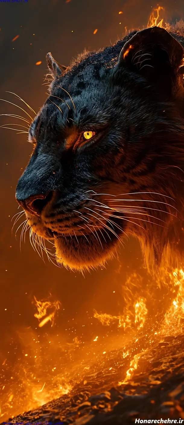 عکس حیوانات وحشی با کیفیت بالا