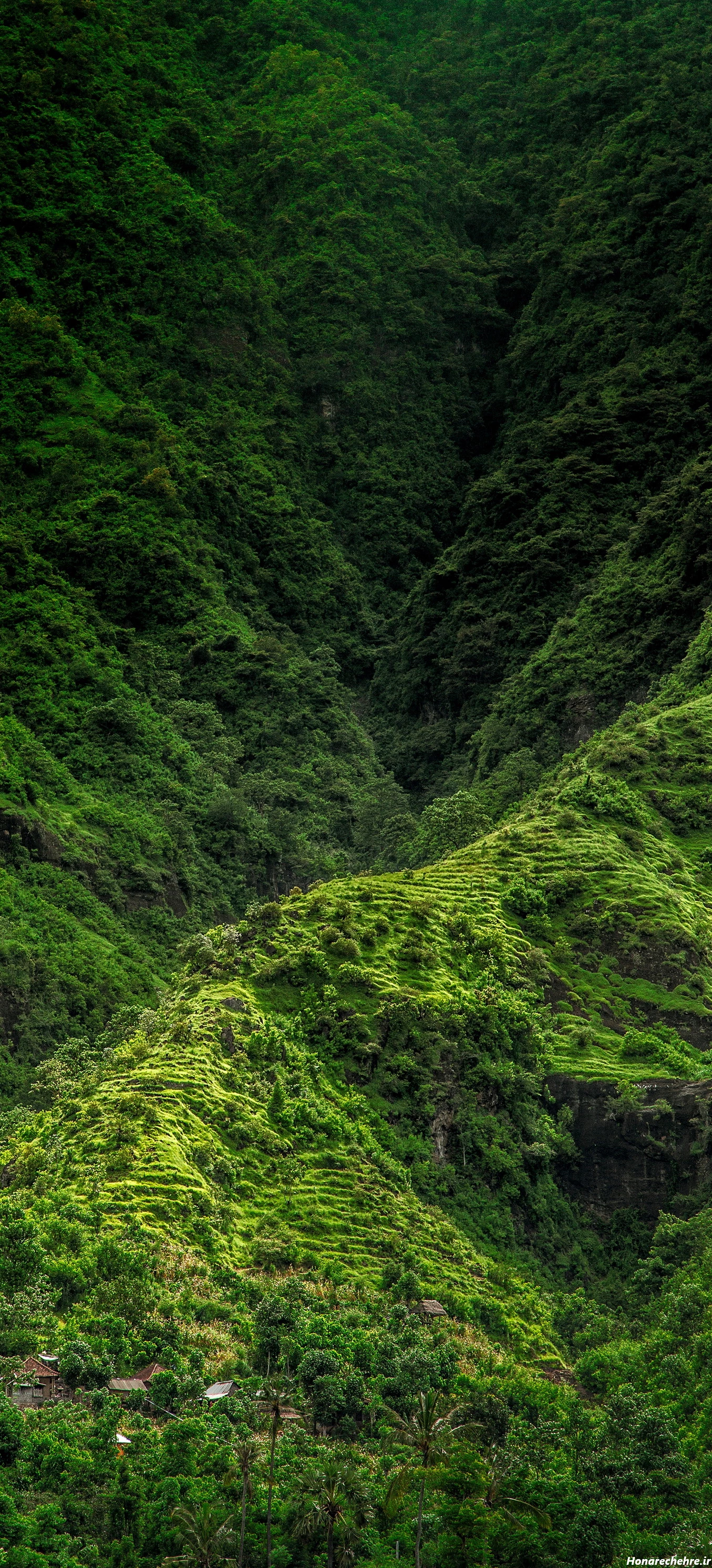 نقشه جنگل دالخانی رامسر