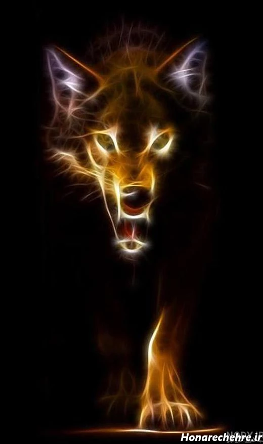 عکس حیوانات وحشی با کیفیت بالا