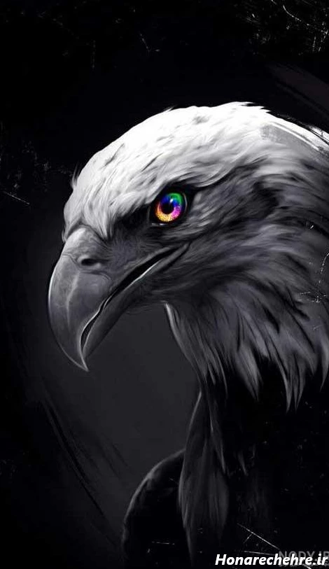 عکس حیوانات وحشی با کیفیت بالا