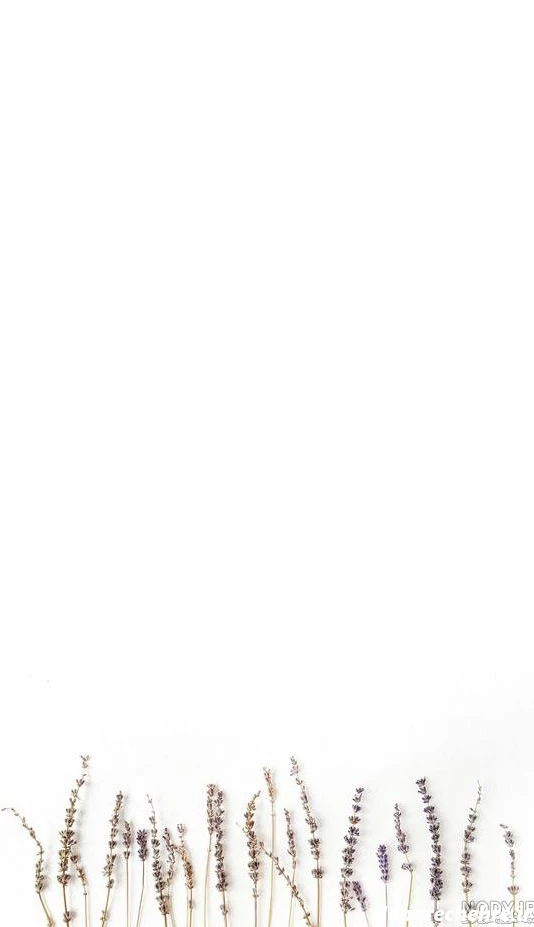 عکس سفید طرح دار برای نوشتن متن