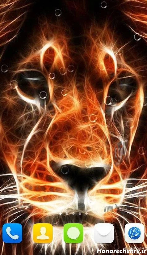 عکس حیوانات وحشی با کیفیت بالا