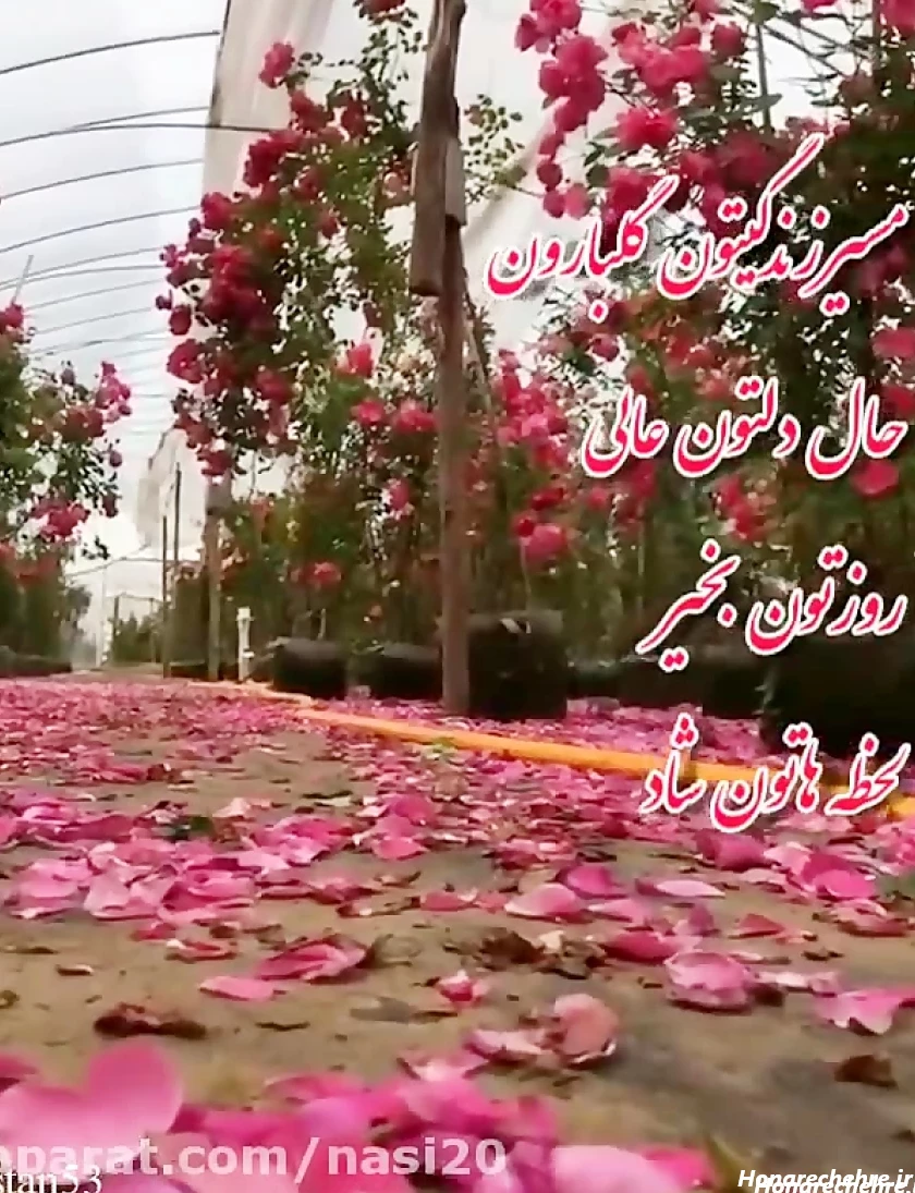 استوری صبح بخیر پاییزی