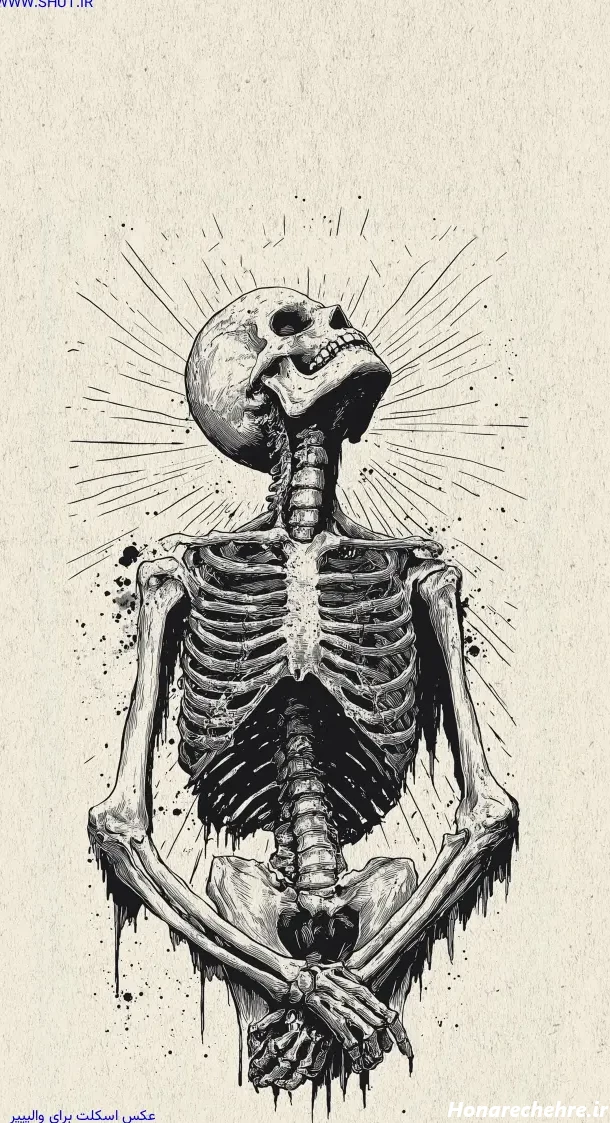 عکس اسکلت واقعی انسان