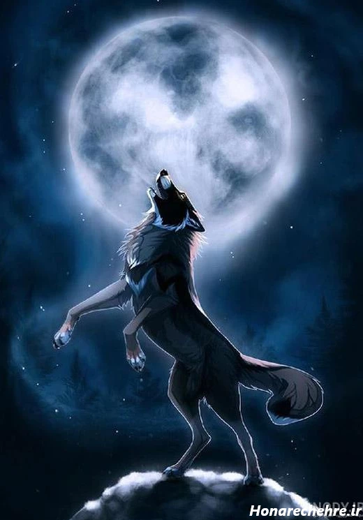 عکس حیوانات وحشی با کیفیت بالا