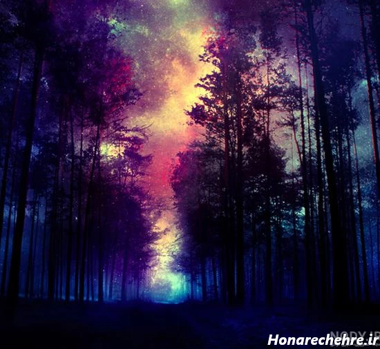 عکس طبیعت واقعی برای پروفایل