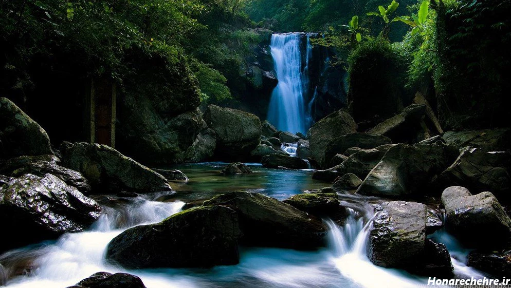 عکس طبیعت واقعی برای پروفایل