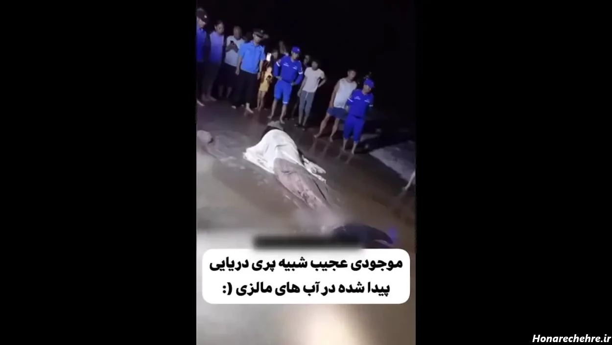 پری دریایی در ساحل