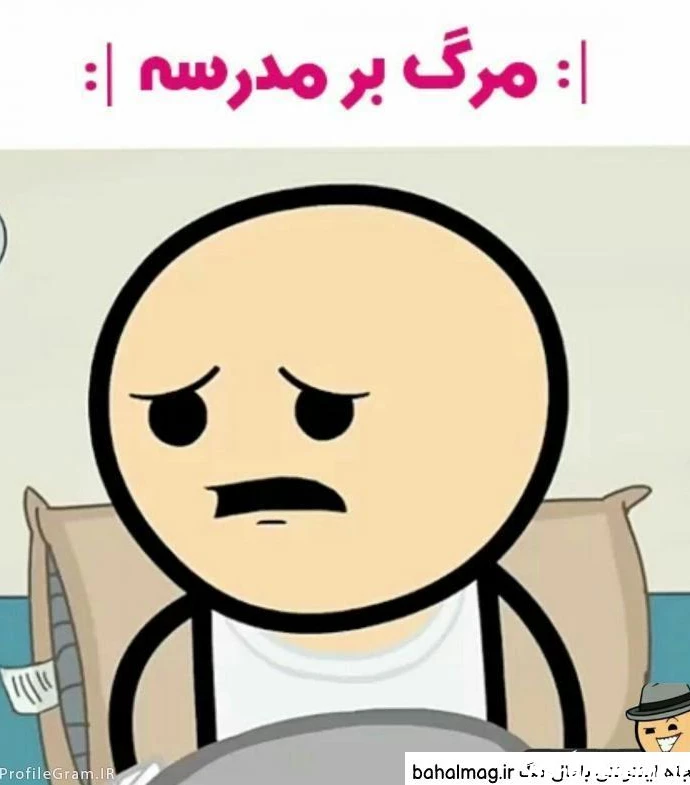 عکس پروفایل معلم زبان انگلیسی