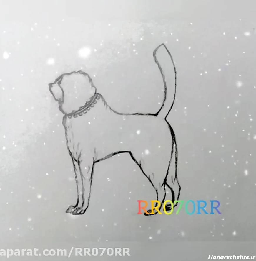 نقاشی سگ وحشی سخت