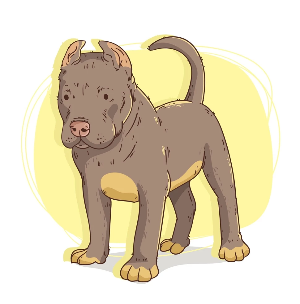 نقاشی سگ وحشی سخت