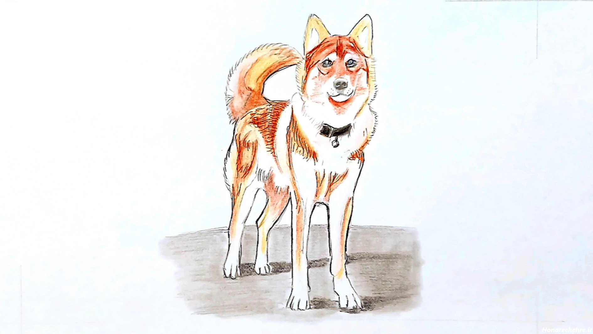 نقاشی سگ وحشی سخت