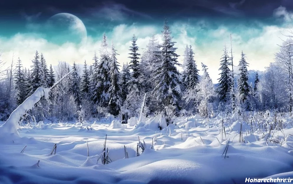 عکس طبیعت واقعی برای پروفایل