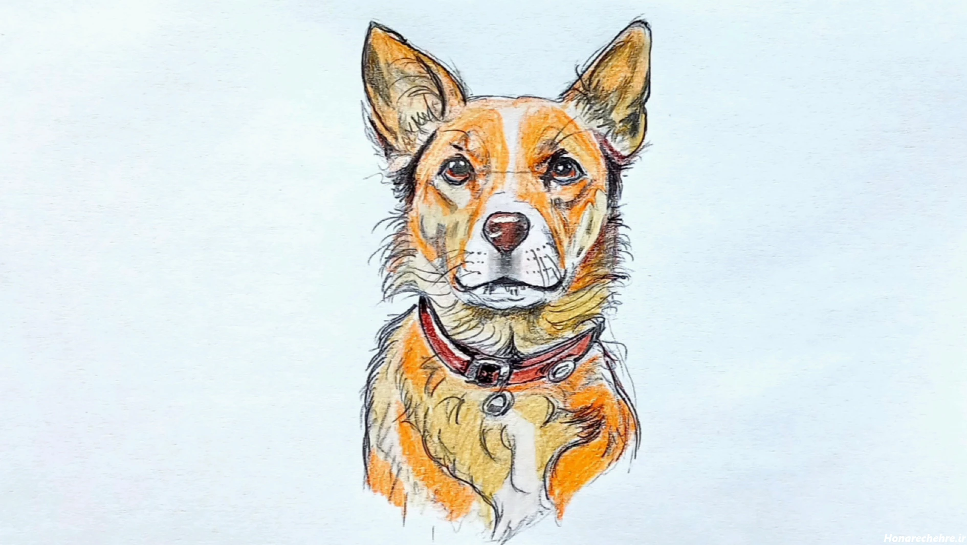 نقاشی سگ وحشی سخت