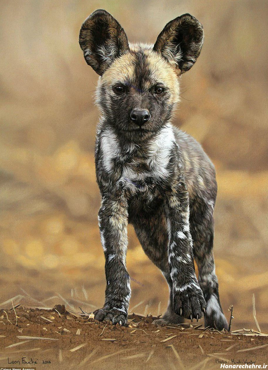 نقاشی سگ وحشی سخت