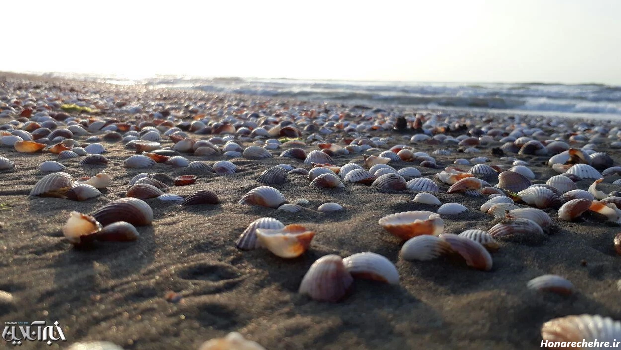 عکس دریای خلیج فارس