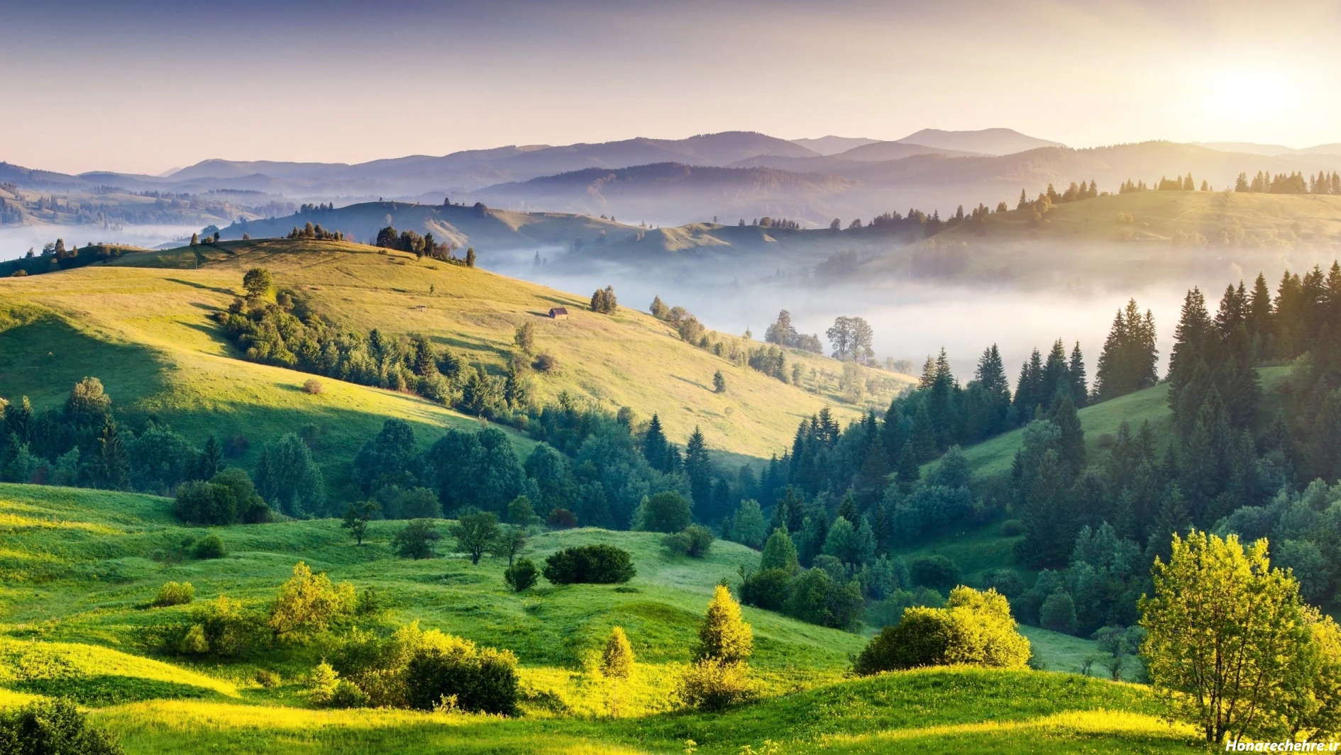 گالری عکس طبیعت