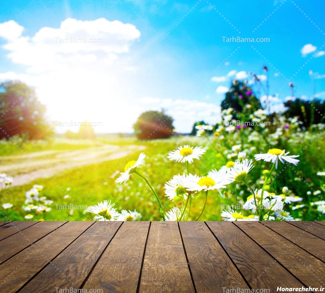 عکس طلوع خورشید عاشقانه