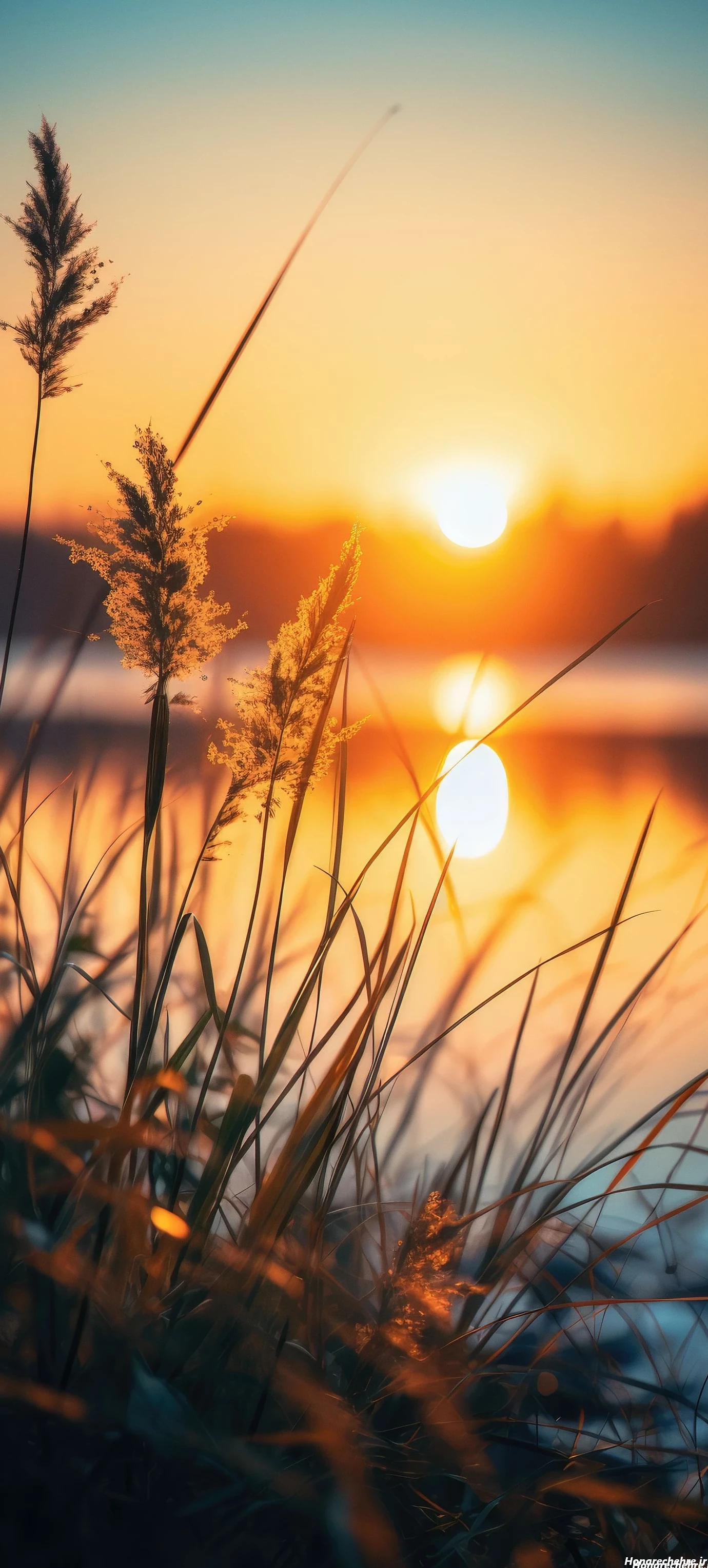 عکس طلوع خورشید عاشقانه