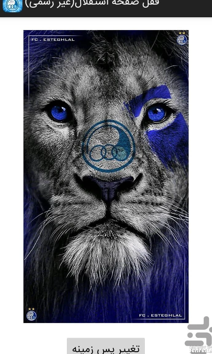عکس استقلال شیر پرسپولیس موش