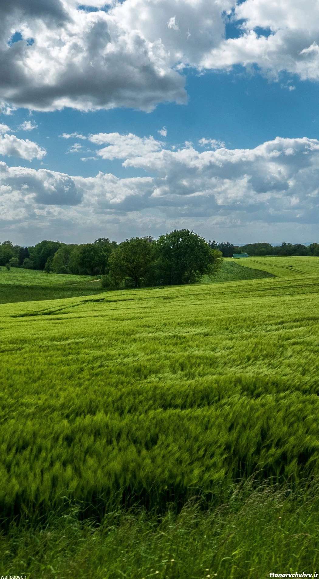 عکس طبیعت ساده