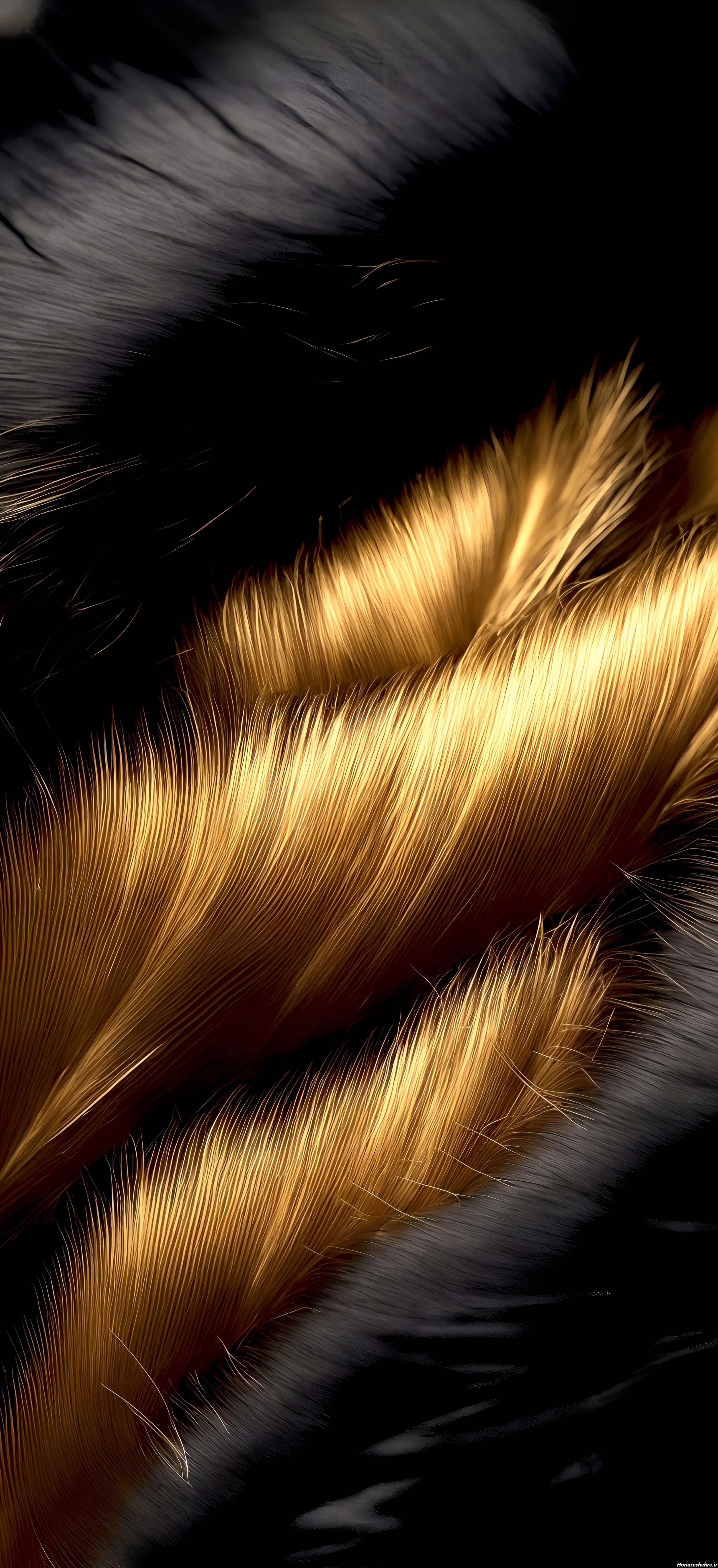 تصویر زمینه مشکی طلایی دخترانه