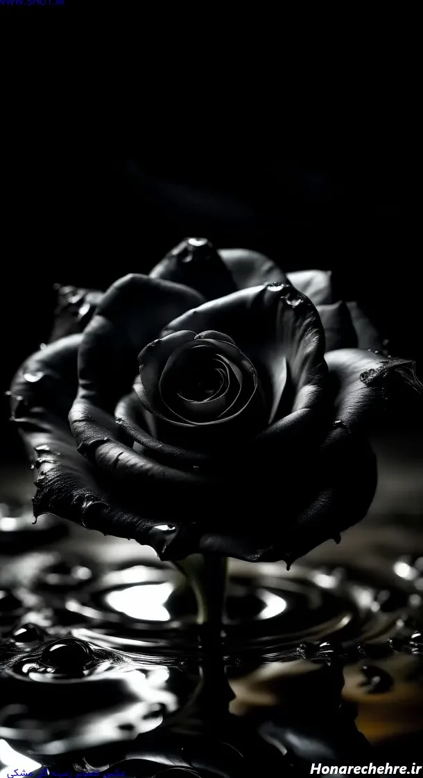 عکس زمینه مشکی عاشقانه