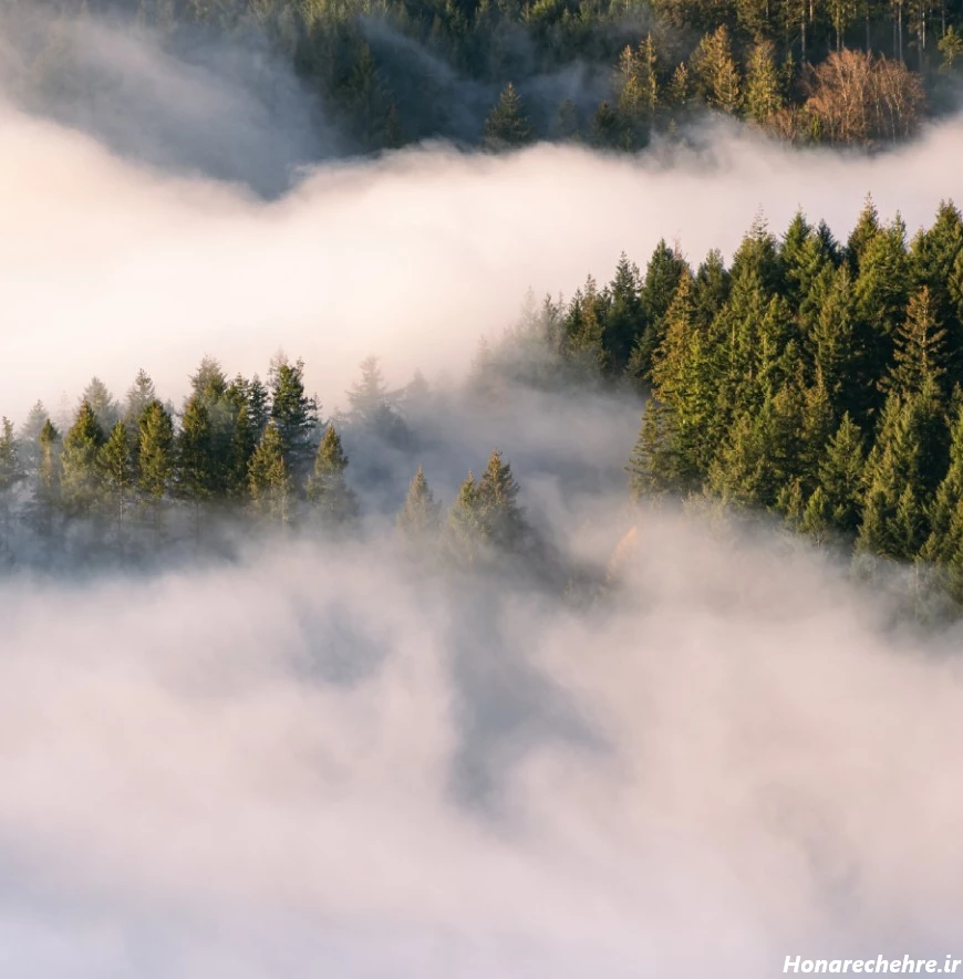 عکس طبیعت ساده