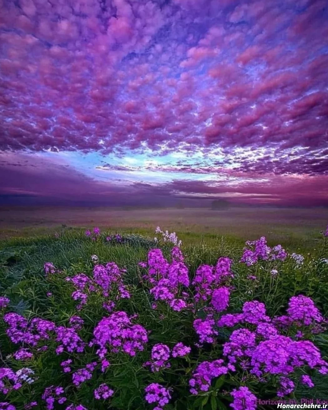 عکس طبیعت ساده