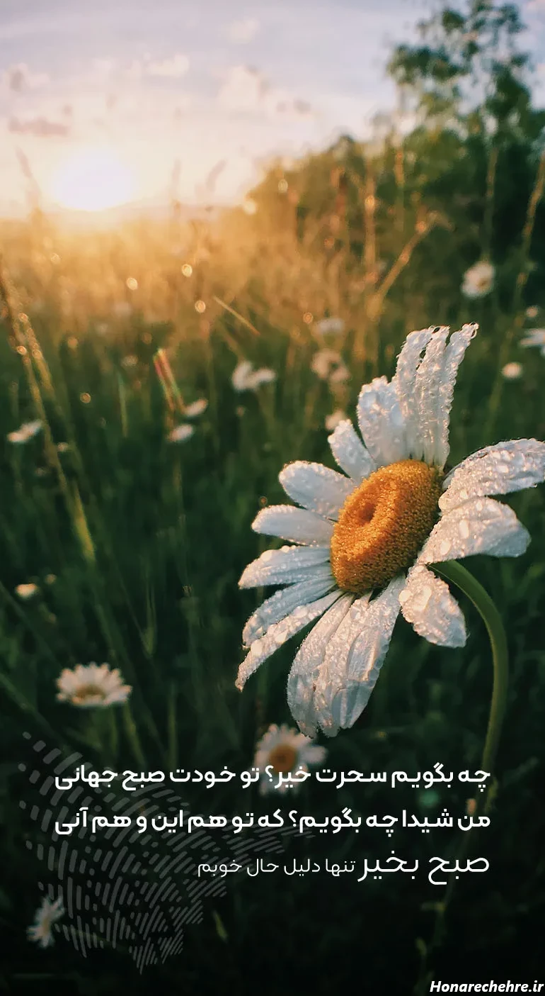 کلیپ صبح بخیر شنبه اول هفته