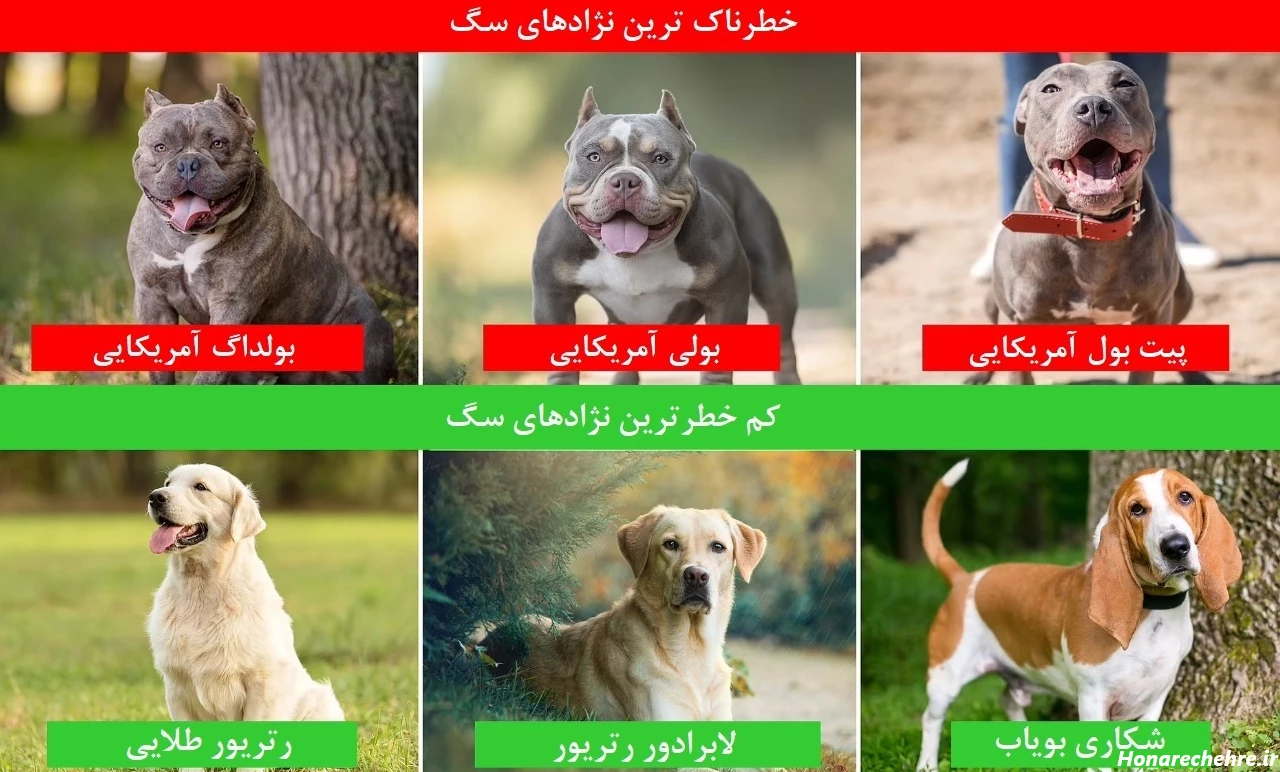 حمله وحشی ترین سگ دنیا به انسان