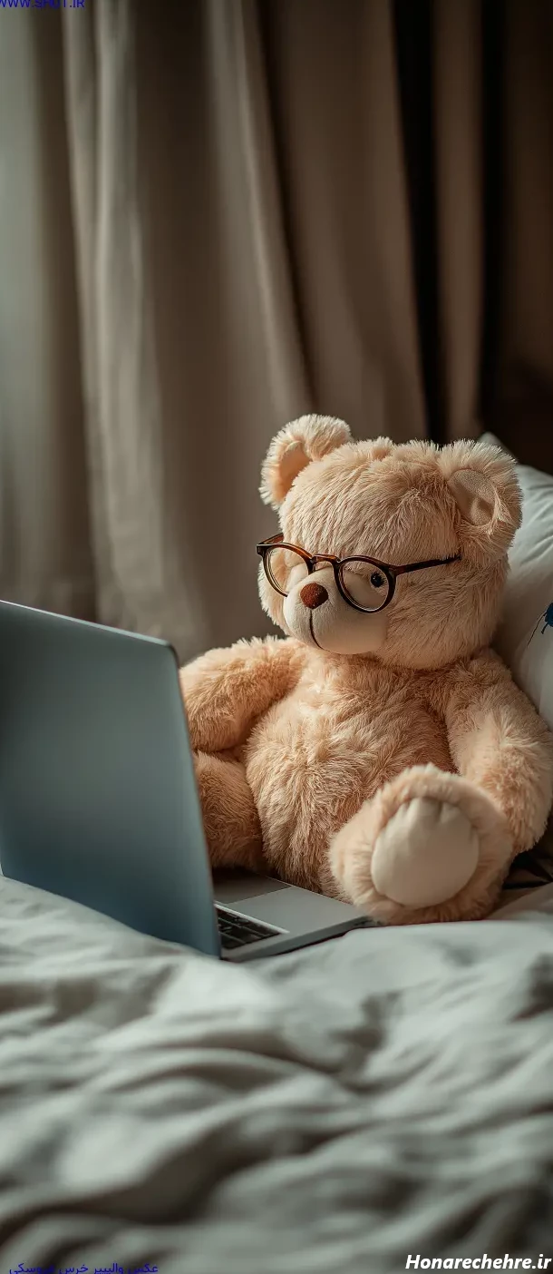 عکس خرس های کله فندقی کیوت