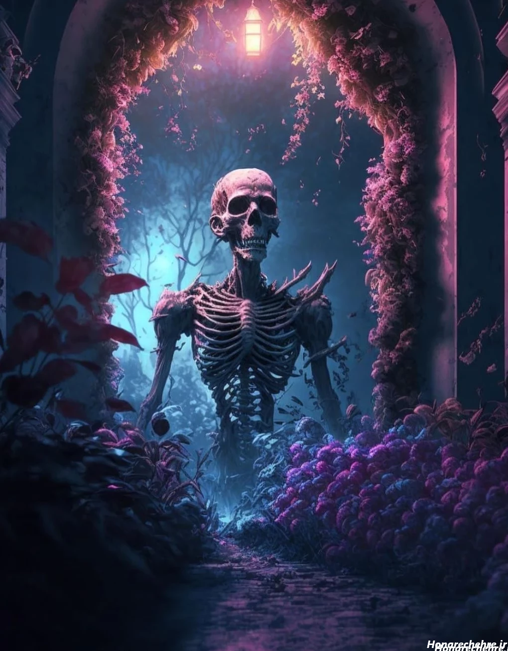 عکس اسکلت واقعی انسان