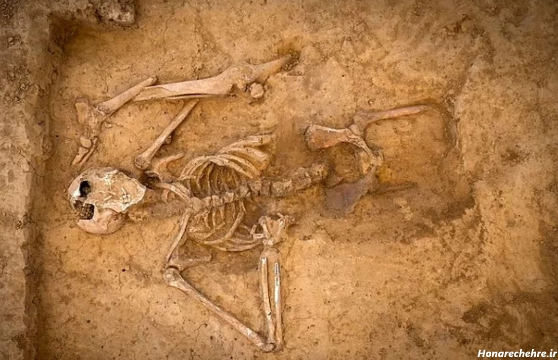 عکس اسکلت واقعی انسان