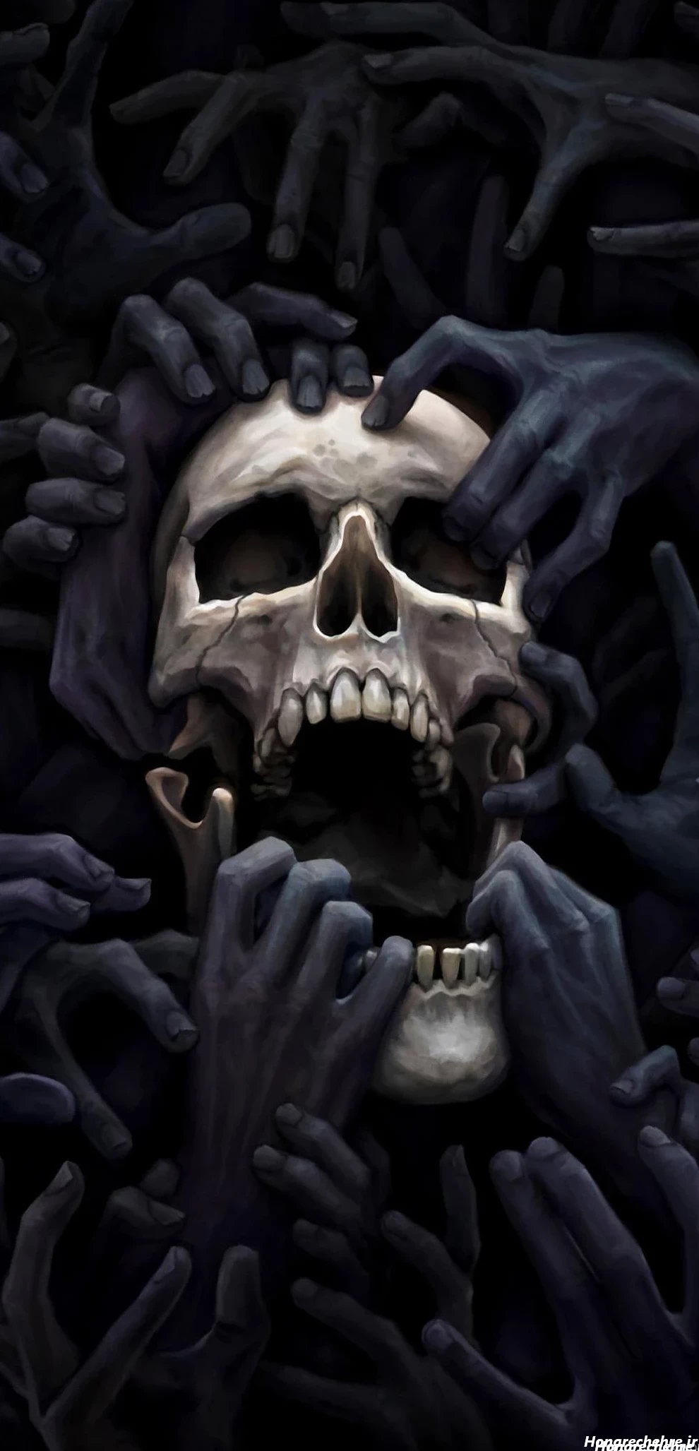 عکس اسکلت واقعی انسان