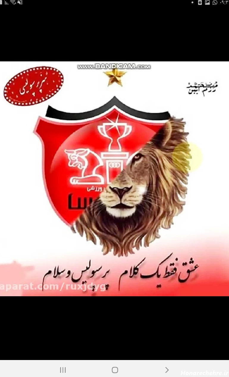 عکس شیر پرسپولیس جدید