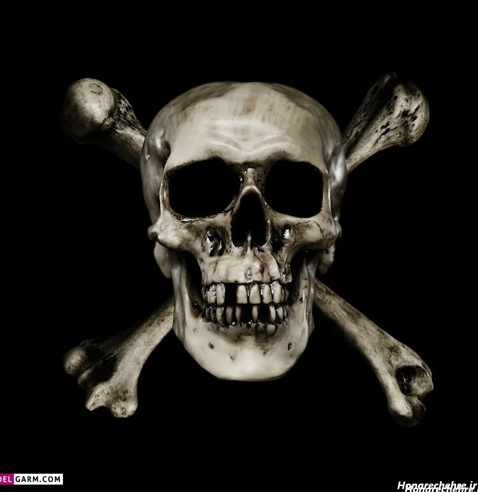 عکس اسکلت واقعی انسان