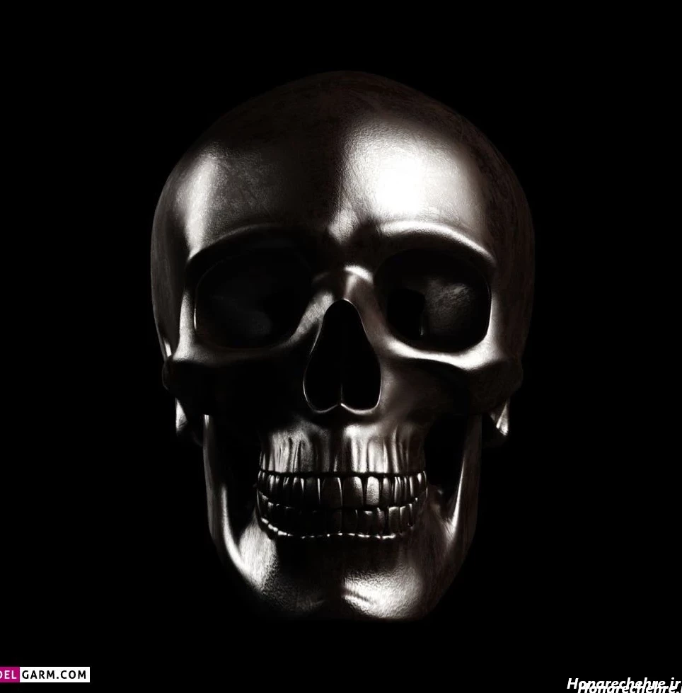 عکس اسکلت واقعی انسان
