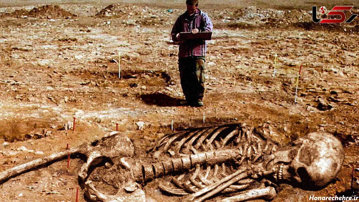 عکس اسکلت واقعی انسان