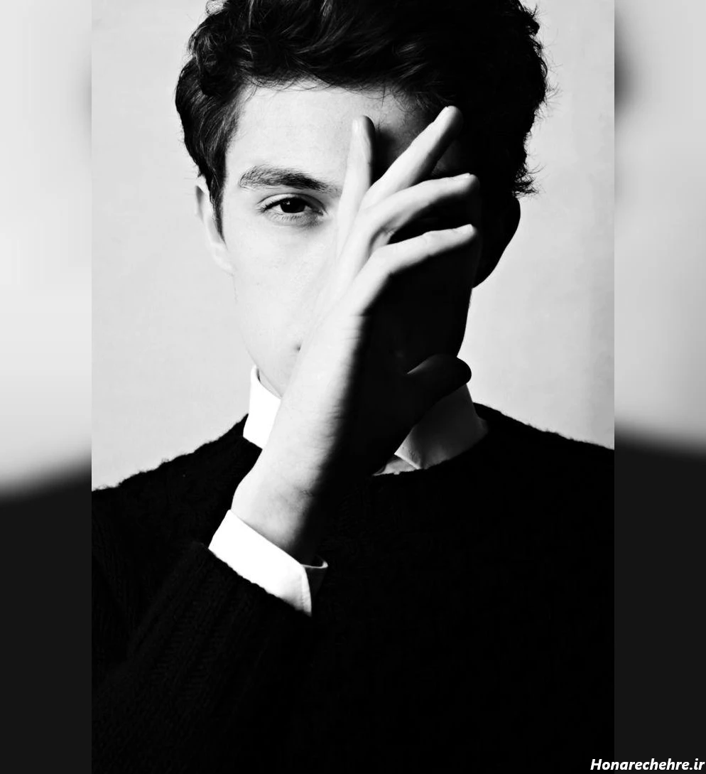 چهره مردانه زیبا ایرانی
