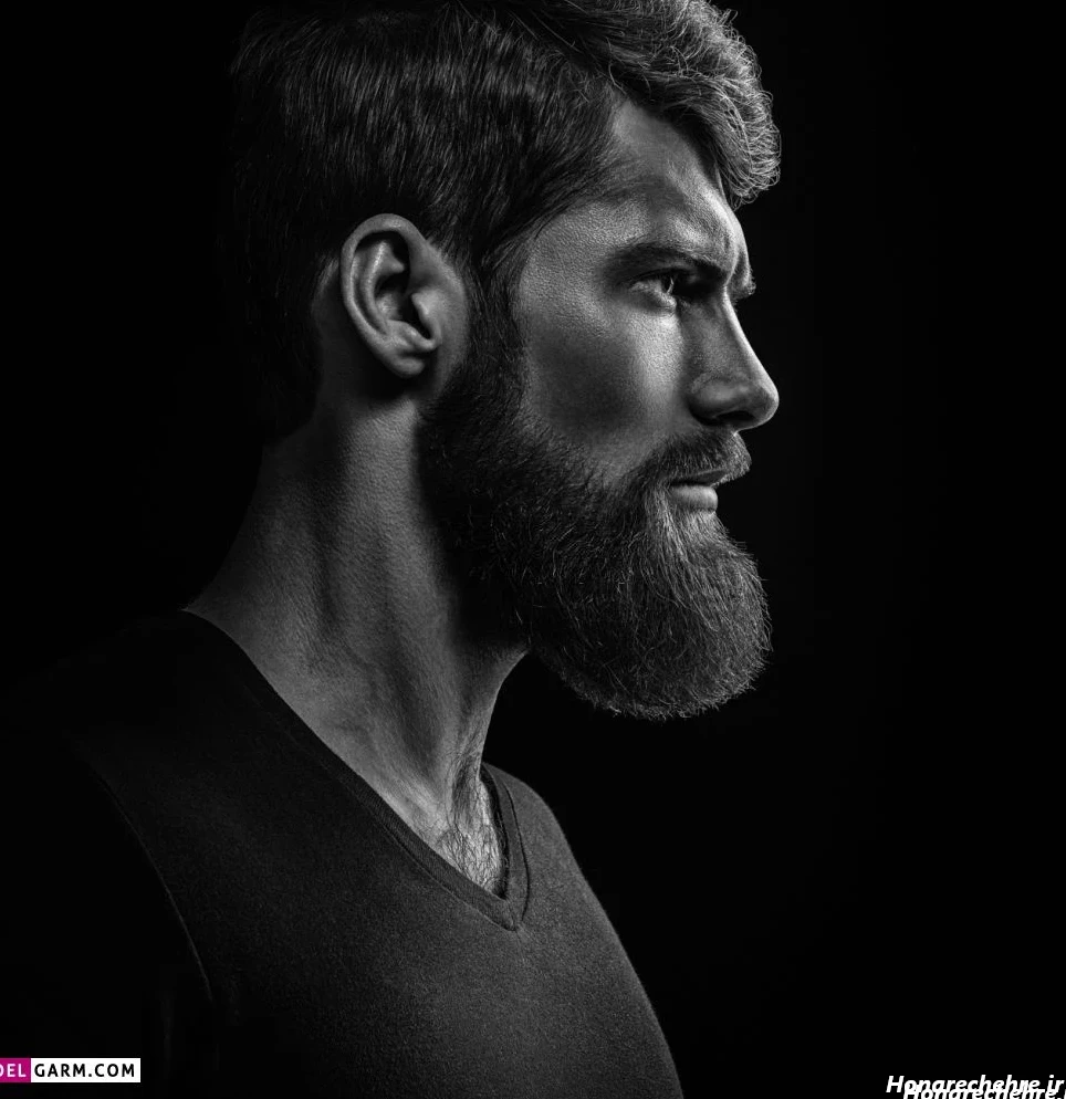 چهره مردانه زیبا ایرانی